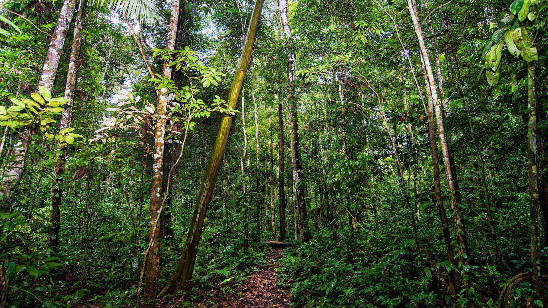 From the Ground Up: Managing our Terrestrial Ecosystems