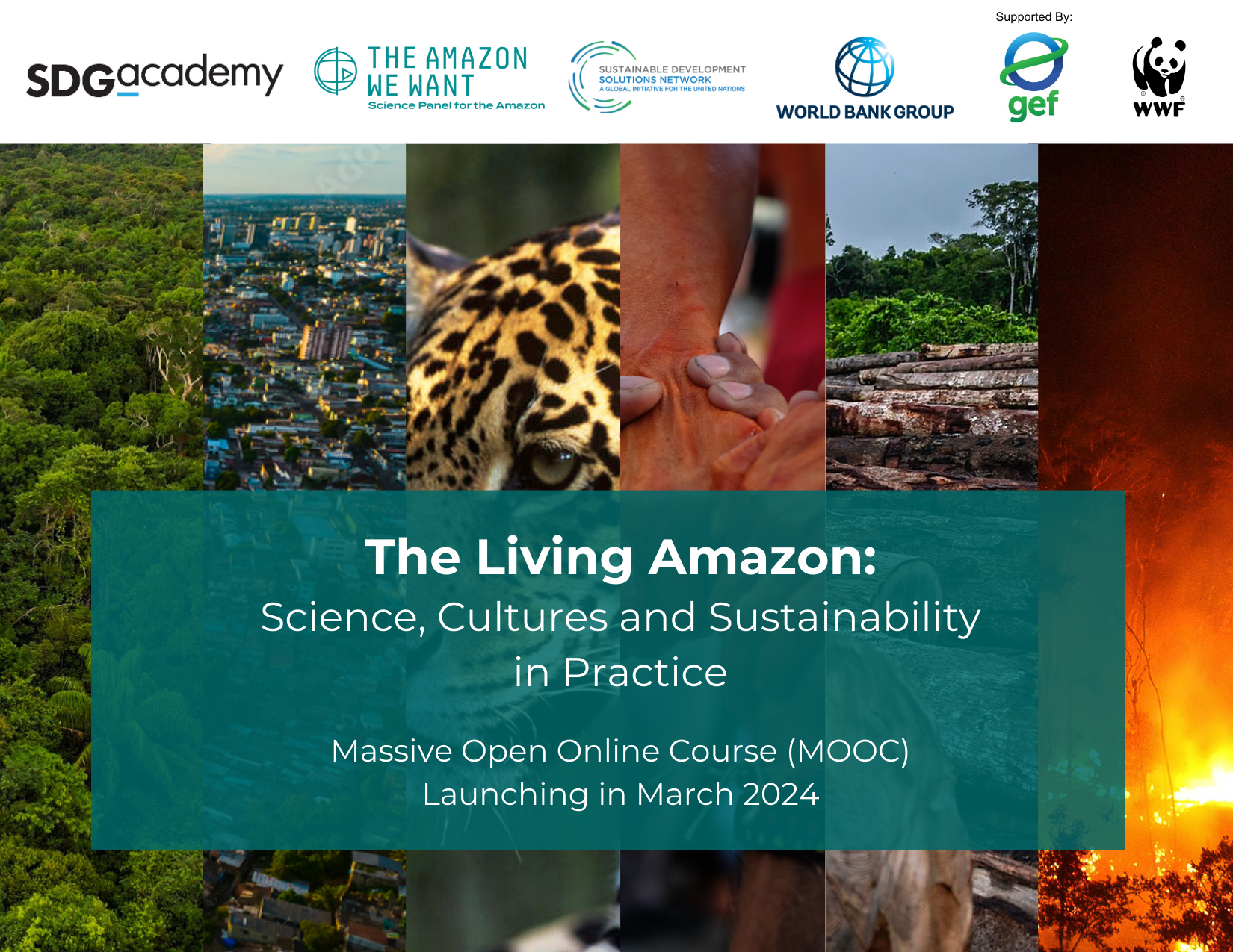 The Living Amazon: Science, Cultures and Sustainability in Practice