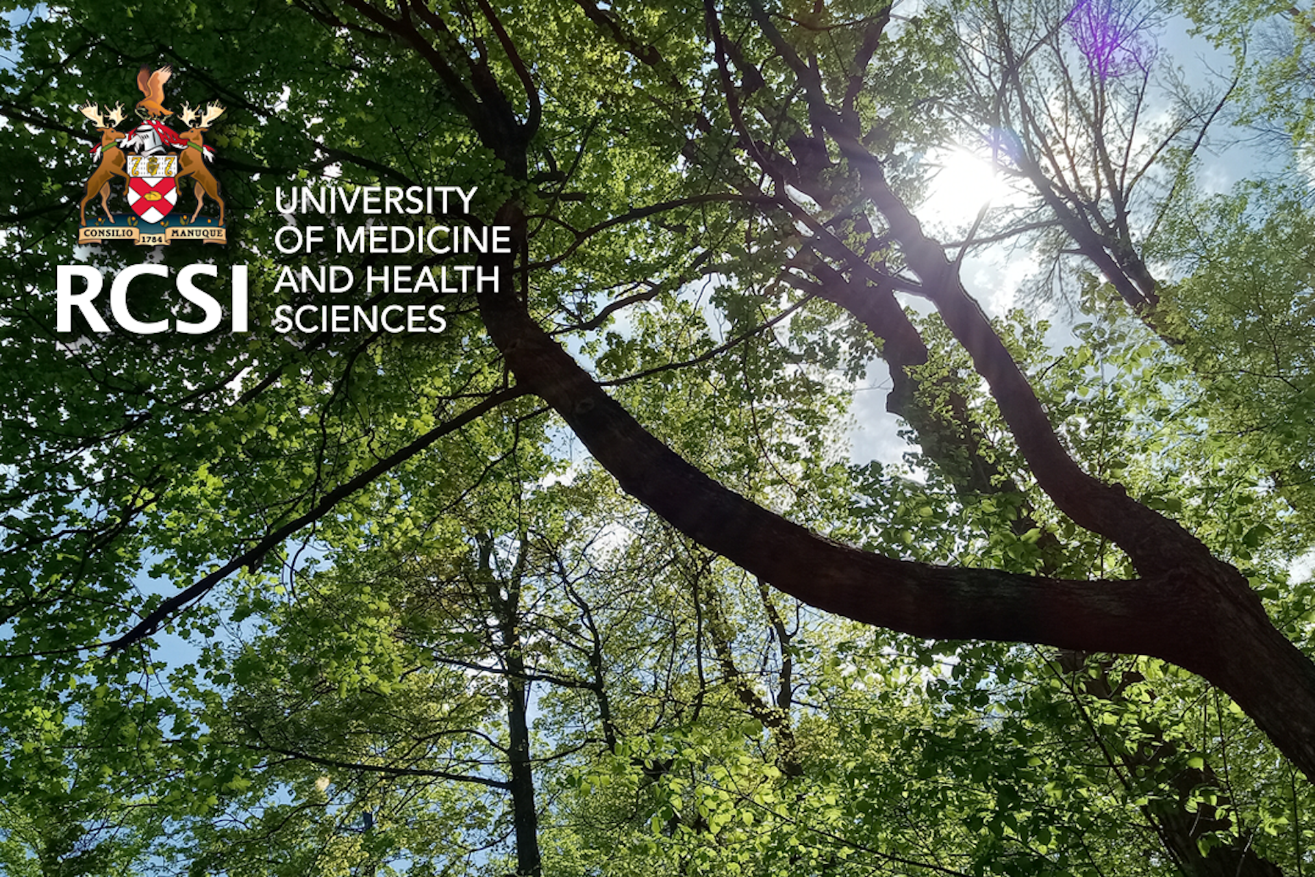Sustainable Healthcare