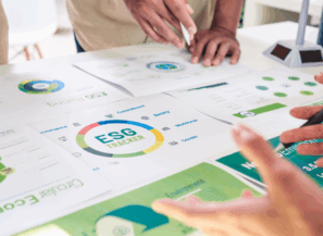 Corporate Responsibilities for Sustainable Development