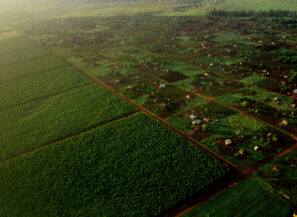 Scaling Impact for Sustainable Development