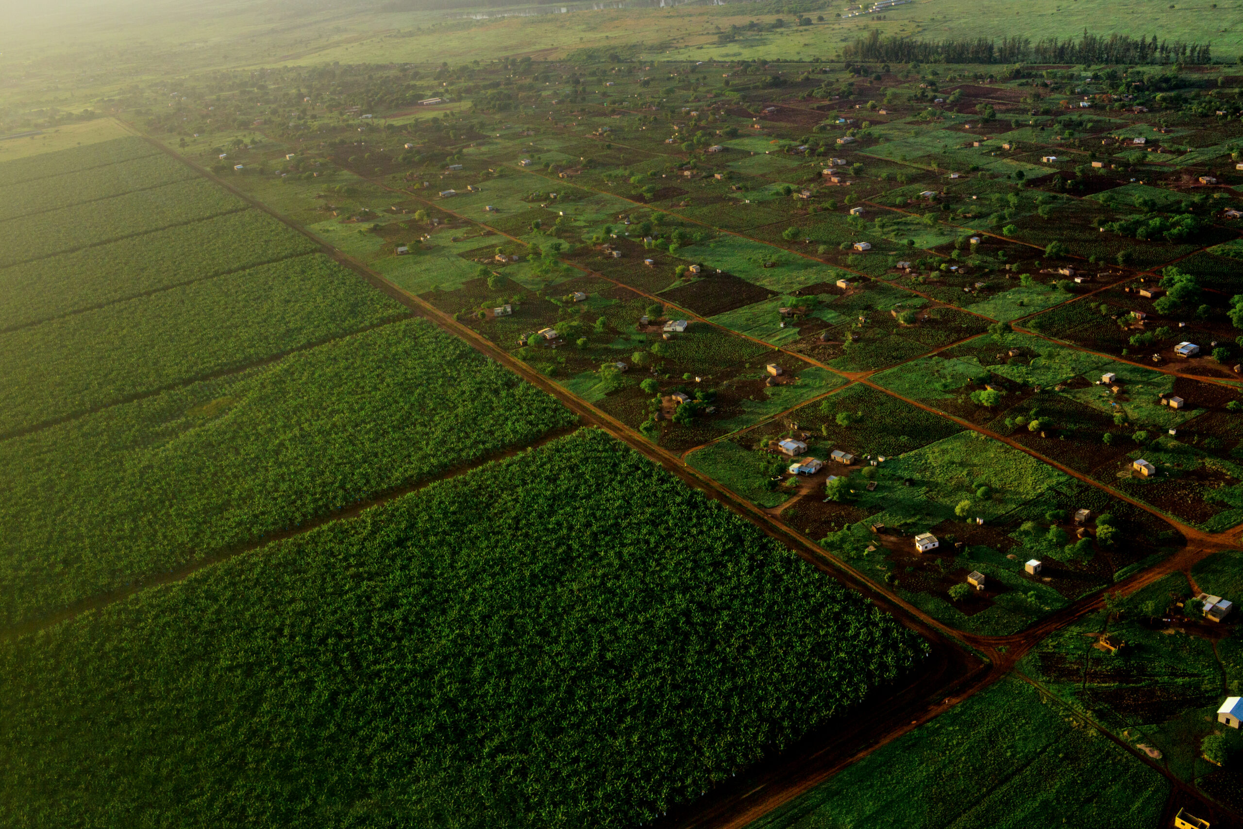 Scaling Impact for Sustainable Development