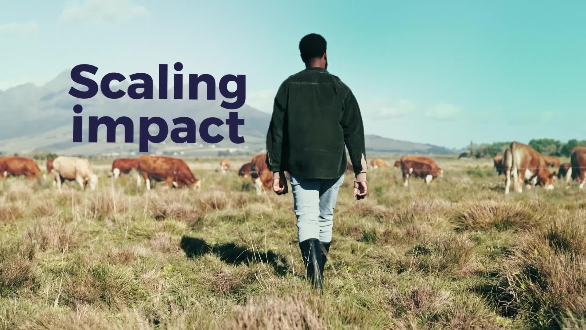 Scaling Impact for Sustainable Development