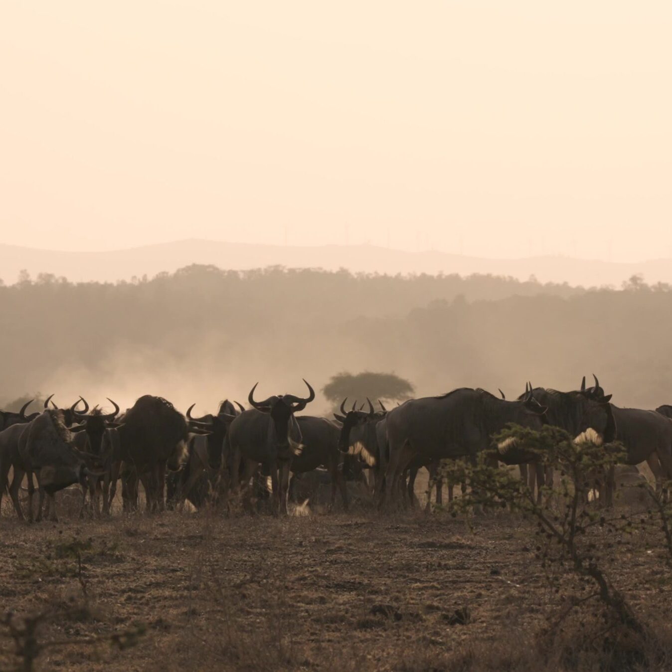 EXPLORE HOW GEOGRAPHY