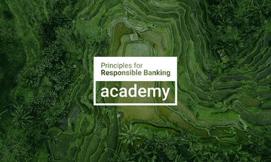 Principles for Responsible Banking Academy