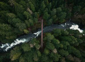 Climate Change: Risk Management in the Banking Sector