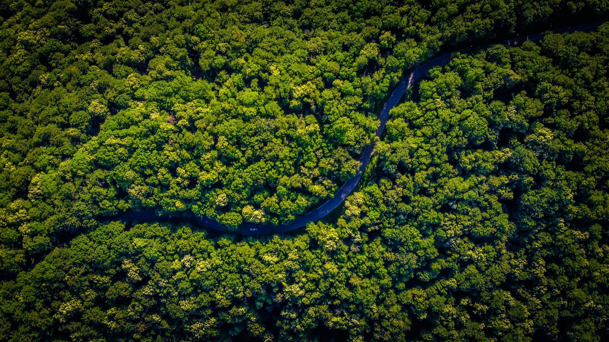 Environmental & Social Risk Analysis